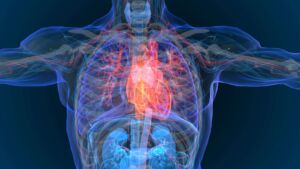 x-ray heart