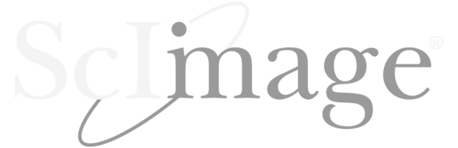 ScImage logo grey